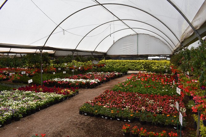 Private Tour in Atlixco and Chipilo from Puebla - Uncovering Chipilo: Italian Heritage and Culinary Traditions