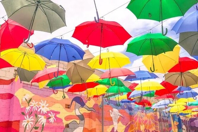 Private Tour in Houston With Street Food and Local Guide - Houston’s Downtown Food Scene Comes to Life