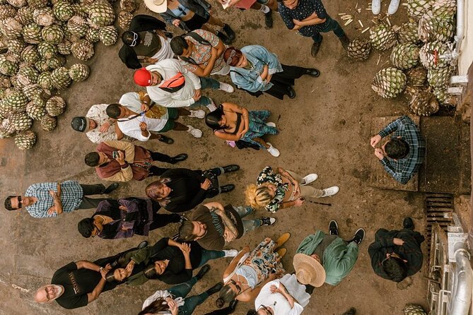 Private Tour one day of Adventure in Tequila and Tequilera Cascahuin - Exploring Cascahuin: A Blend of Tradition and Industry