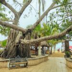 Private Tour, Sayulita & San Pancho - Sayulitas Artisan Market and Culinary Scene