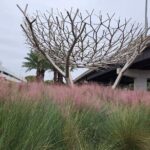 Private Transportation Hobby Airport (HOU) Departure Drop off - Vehicle Options for Small and Large Groups