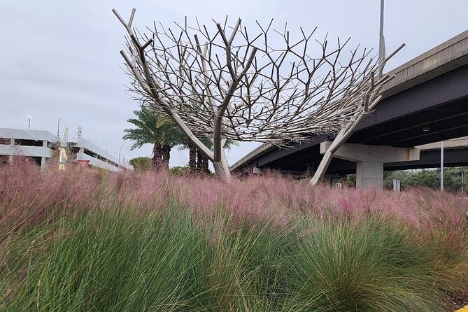 Private Transportation Hobby Airport (HOU) Departure Drop off - Vehicle Options for Small and Large Groups