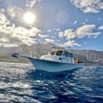 Private Whale Watch and Snorkel off Kaua'i - Flexible Private Tour for Custom Time Allocation