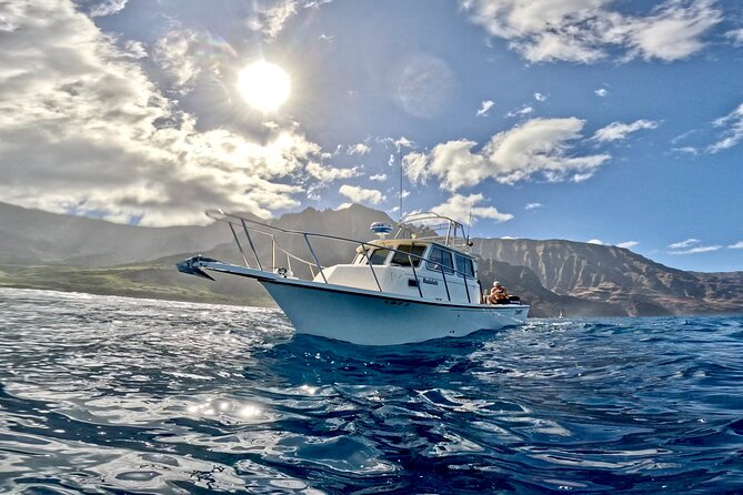 Private Whale Watch and Snorkel off Kaua'i - Flexible Private Tour for Custom Time Allocation