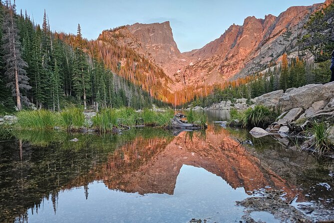 Private Wildlife Hiking Tour in Rocky Mountain National Park - Starting Point at Beaver Meadows Visitor Center