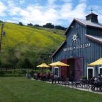 Private Wine Tasting Tour From Santa Ynez, Solvang or Buellton! - Visiting the Top Wineries on the Santa Ynez List