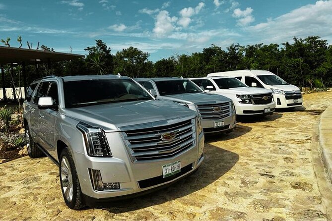 Puerto Aventuras: From/to Cancun Private Airport Transfers - The Comfort and Convenience of a Private Vehicle