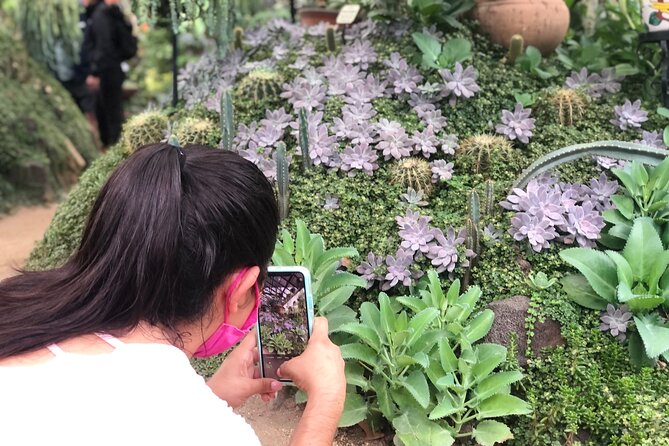 Puerto Vallarta Botanical Gardens Hiking Tour - Starting at Los Veranos Canopy Tour: The Meeting Point in Puerto Vallarta