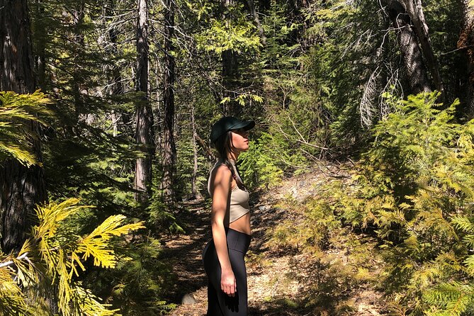 Redwoods Forest Bathing - The Benefits of Forest Therapy in Santa Cruz’s Redwoods