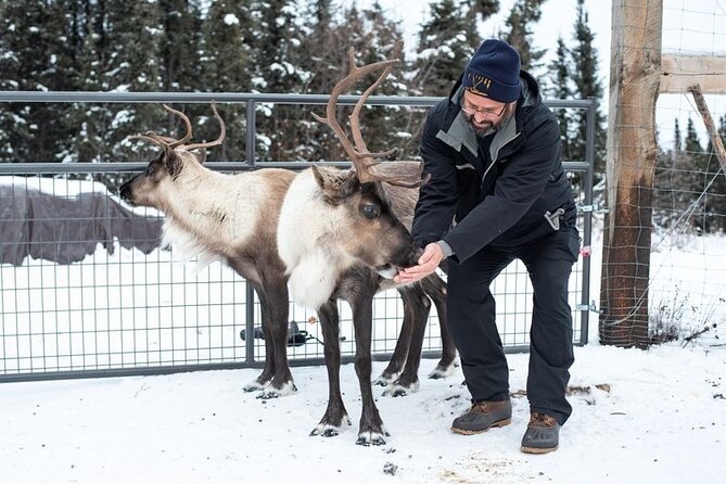 Reindeer Meet and Greet - Meeting Point and Booking Details in Fairbanks