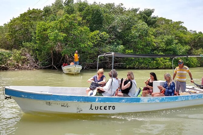 Relaxing Day at Las Coloradas Natural Pink Lake! From Cancun & Riviera Maya - Rio Lagartos Biosphere Reserve: A Haven for Birdlife and Mangroves