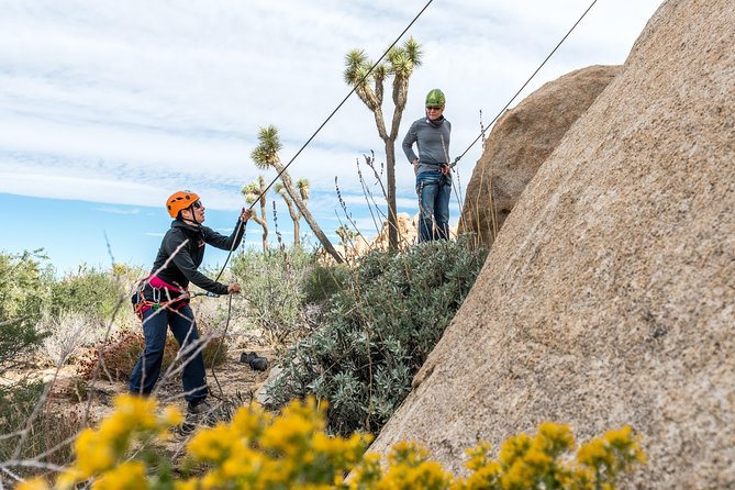 Rock Climbing Trips in Joshua Tree National Park (6 Hours) - Equipment and Safety: What’s Included