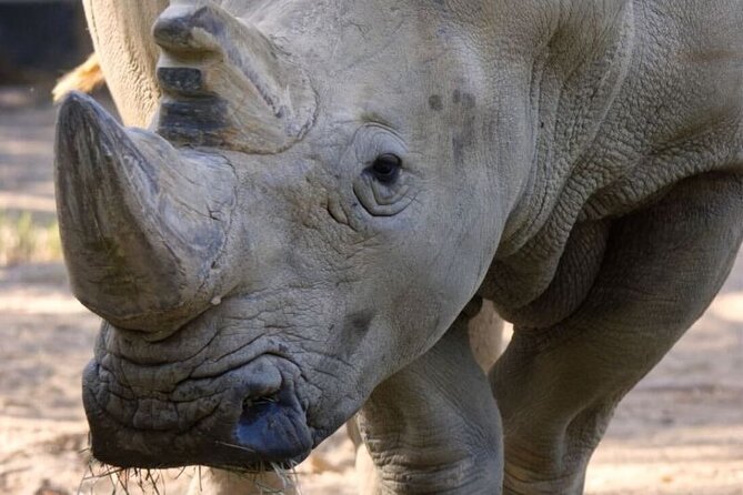 Sacramento Zoo General Admission Ticket - Exploring the Zoo’s Diverse Animal Collection