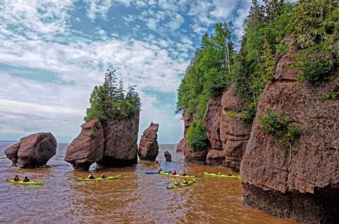 Saint John (NB) Bay of Fundy and Hopewell Rocks Private Tour - The Comfort and Convenience of a Private Guided Tour