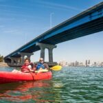 San Diego Bay 1.5-Hour Guided Kayak Tour in Coronado - The Range of Kayaks and Paddling Options