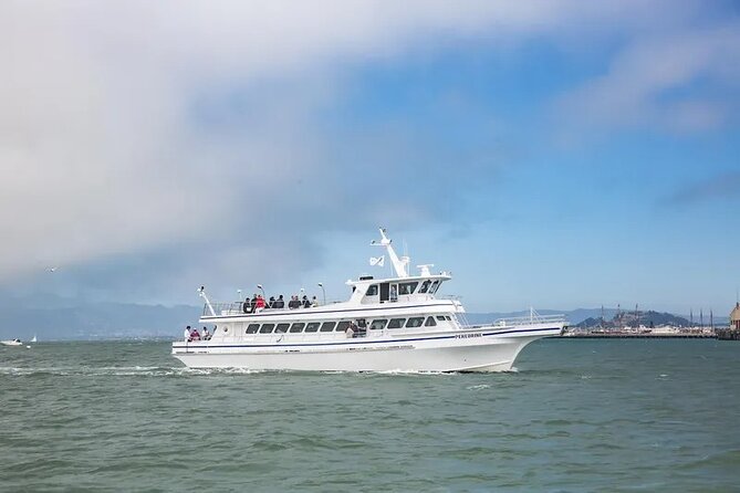San Diego Whale/Dolphin Watching Cruise Aboard Luxury Vessel - Marine Wildlife Encounters: Whales, Dolphins, and More