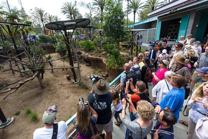 San Diego Zoo 1-Day Pass: Any Day Ticket - Navigating the Zoo with the Map and Guided Tours
