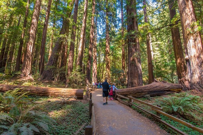 San Francisco, Muir Woods, Sausalito, Optional Alcatraz Tour - Discovering Chinatown’s Cultural Vibrancy