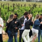 San Francisco: Napa Valley Half-Day Wine Tour with Tastings - Starting the Journey with a Golden Gate Crossing