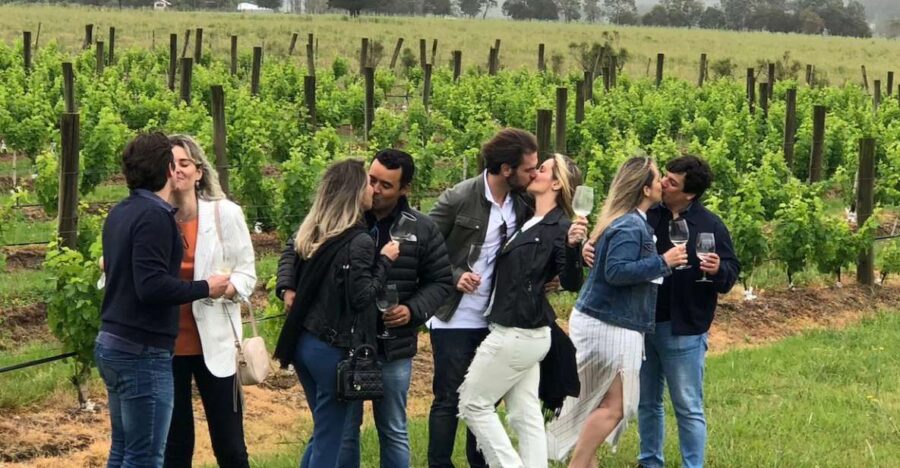 San Francisco: Napa Valley Half-Day Wine Tour with Tastings - Starting the Journey with a Golden Gate Crossing