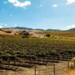 Santa Ynez Valley: Sideways Movie Inspired Wine Tour - Santa Ynez Valley: Following the Sideways Movie Trail