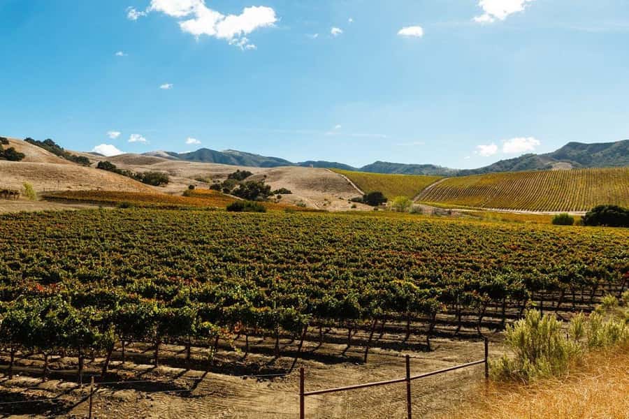 Santa Ynez Valley: Sideways Movie Inspired Wine Tour - Santa Ynez Valley: Following the Sideways Movie Trail