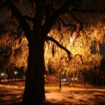 Savannah Ghosts of Christmas Past Tour - Exploring the Historic Squares of Savannah at Night