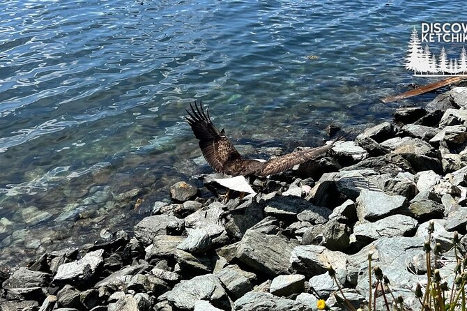 Saxman Native Village & Ketchikan City Tour - Scenic Drive Through Ketchikan’s Historic Downtown