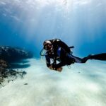 Scuba Diving in Playa del Carmen for Small Groups - The Dive Boat and Marine Environment