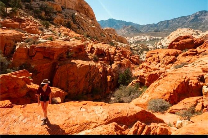 Shared Tour in Red Rock Canyon - Meet Your Guide: Kirk’s Expertise and Friendly Approach