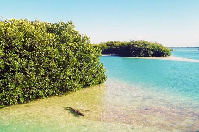 Sian Ka'an Reserve Tour - Exploring the Sian Kaan Protected Area with a Guided Boat Tour