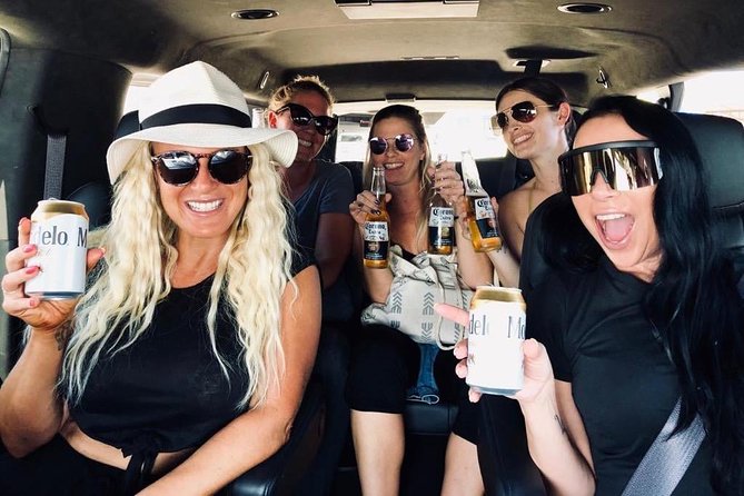 SJD Airport to San Jose del Cabo - one way service - The Experience’s Strengths and Potential Drawbacks