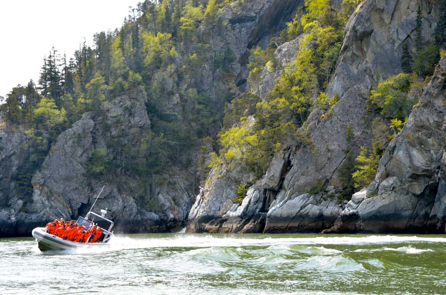 Skagway: Ocean Raft Adventure Along Scenic Coastline - Safety and Comfort with Mustang Survival Gear
