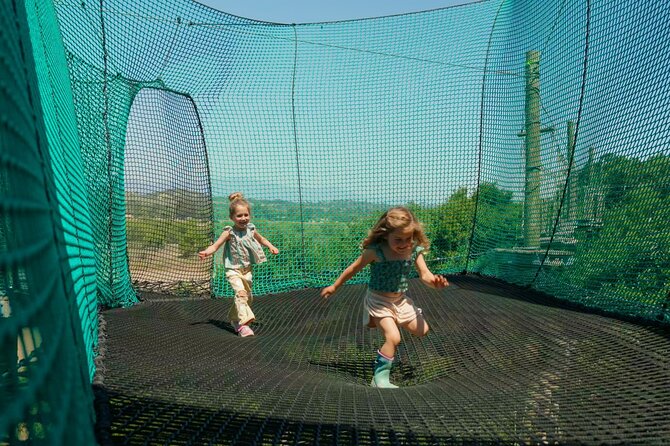 Skynet Playground - The Unique Aerial Netted Course Among Oak Groves