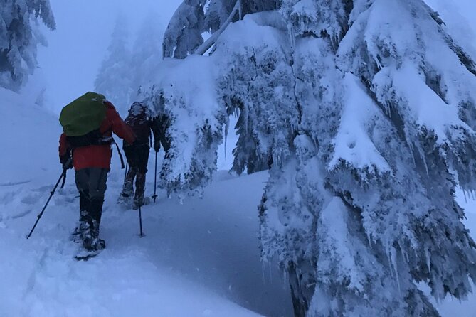 Slow down and enjoy winter on a private snowshoe tour. - Scenic Trails at Grouse Mountain in the Evening