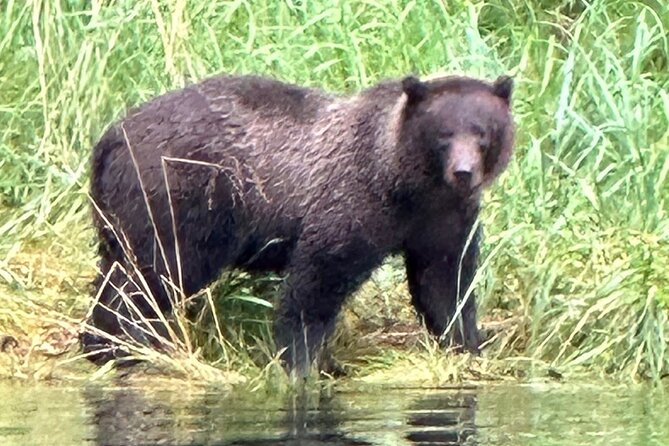 Small Group Boat Tour of Sitka - The Wildlife and Scenic Highlights of the Coastline