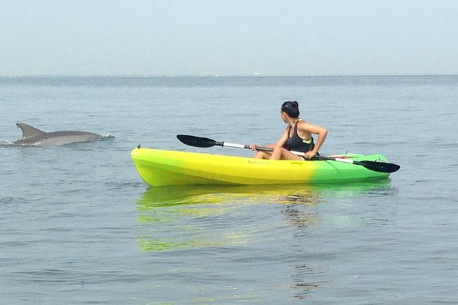 Small Group Dolphin Kayak Eco-Tour - Starting Point at North End Beach in Virginia Beach