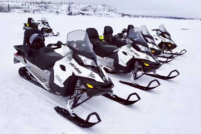 Snowmobile Tour - Scenic Trails through a Winter Wonderland