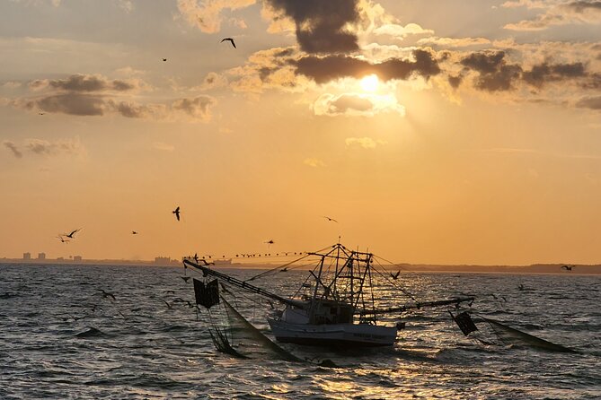 Sunset Cruise Fort Lauderdale  Premium Experience-Skyline Views - Relaxing Atmosphere and Comfort
