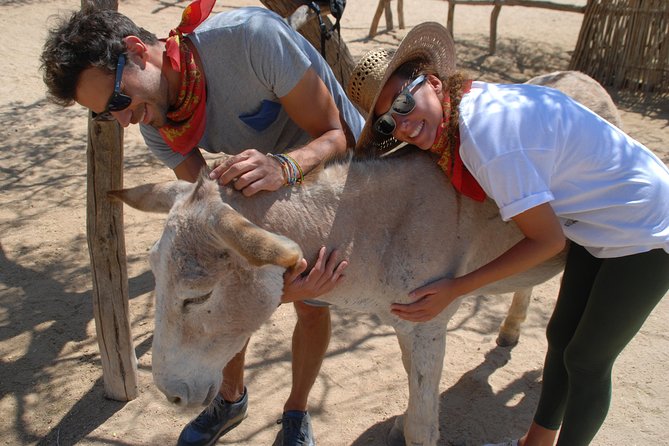 Sunset Pacific Donkey Hiking Tour - Scenic Views of Desert, Cliffs, and the Pacific Ocean