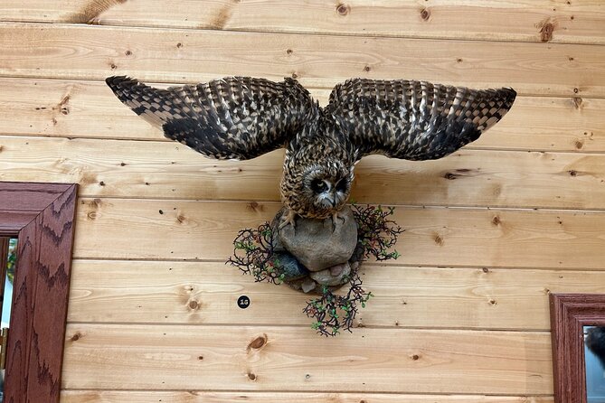 Tablet Tour in Wildlife Gallery - The Location and Starting Point at Nature’s North Wildlife Gallery