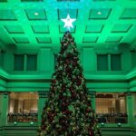 The Christmas Tree Crawl Experience Chicago at the Holidays - What to Expect During the 2-Hour Holiday Walk