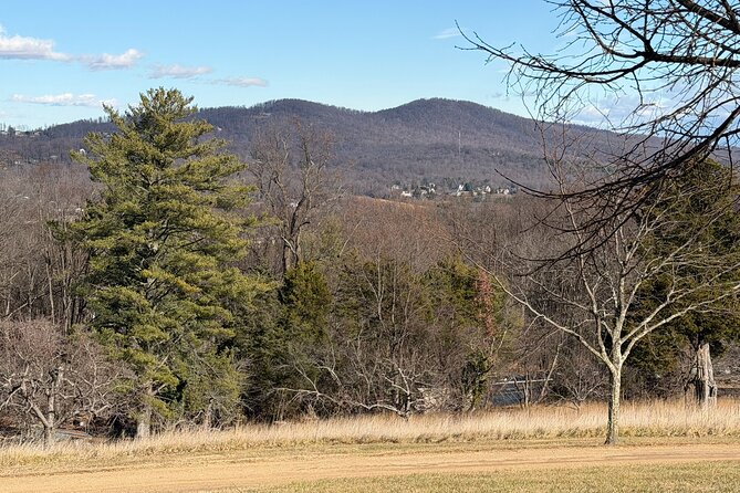 Thomas Jeffersons Monticello Excursion from Washington DC - Inside Monticello: The House and Architecture