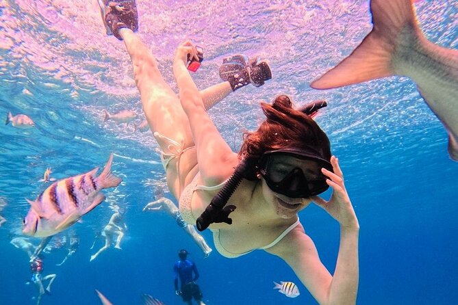 Top Experience: Snorkel Tour & All Inclusive Beach Club - Snorkeling Adventures on Vibrant Caribbean Reefs