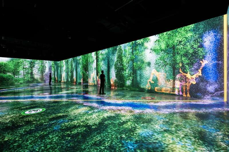Toronto: Arcadia Earth, Immersive Experience Anytime Ticket - The Experience at Arcadia Earth: Art and Technology