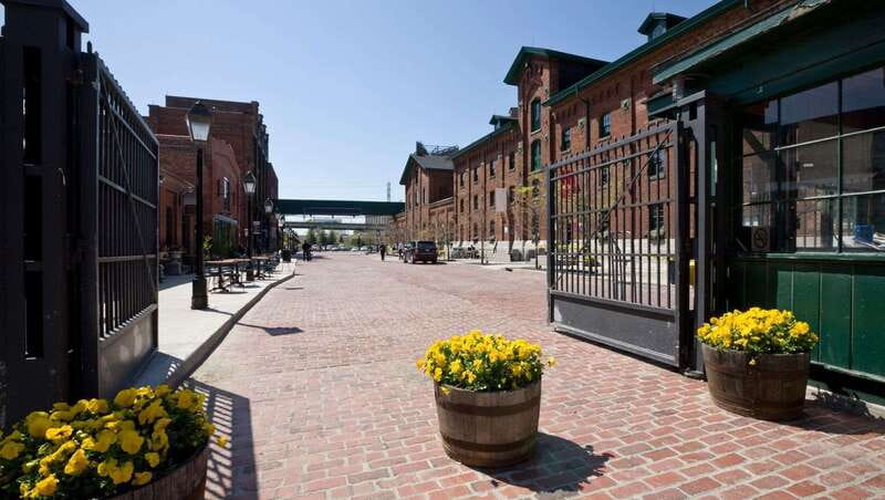 Toronto: Highlights & Hidden Gems Private Tour With a Local - Meeting Point at Roy Thomson Hall and Accommodation Options