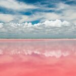 Tour to Las Coloradas Pink Waters and Boat Ride in Rio Lagartos with Lunch. - The Route from Cancun to Las Coloradas: Scenic and Educational