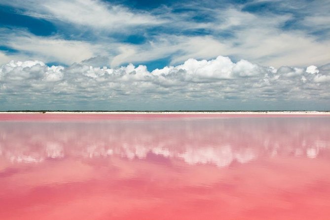 Tour to Las Coloradas Pink Waters and Boat Ride in Rio Lagartos with Lunch. - The Route from Cancun to Las Coloradas: Scenic and Educational