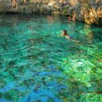Tour to Tulum and Cenote for the best price! - Cenote Aktun Ha: A Award-Winning Swim Spot