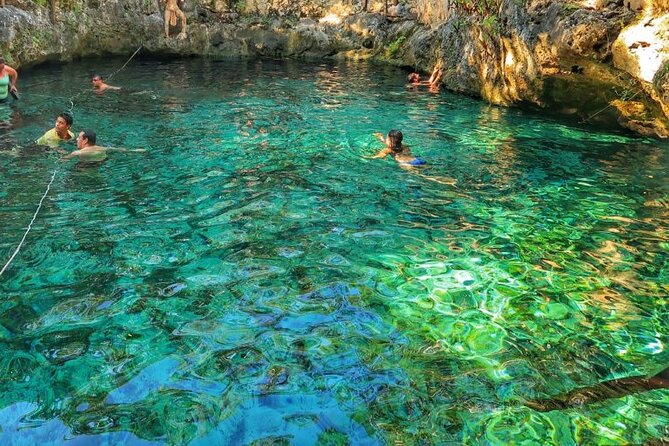 Tour to Tulum and Cenote for the best price! - Cenote Aktun Ha: A Award-Winning Swim Spot